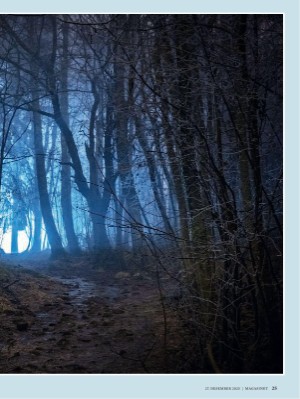 dagbladet_magasinet-20251227_000_00_00_025.pdf