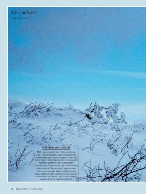 dagbladet_magasinet-20260103_000_00_00_016.pdf
