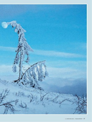 dagbladet_magasinet-20260103_000_00_00_017.pdf