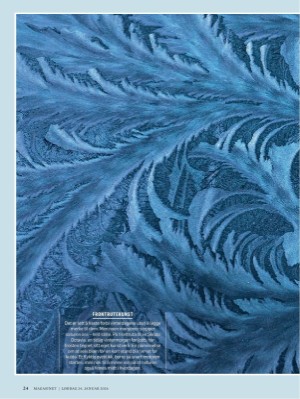 dagbladet_magasinet-20260124_000_00_00_024.pdf