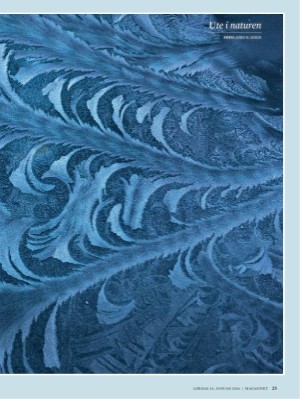 dagbladet_magasinet-20260124_000_00_00_025.pdf