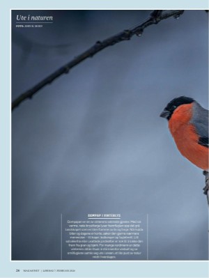 dagbladet_magasinet-20260207_000_00_00_026.pdf