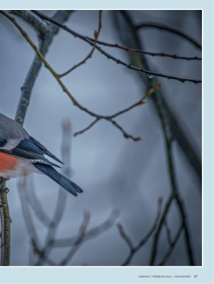 dagbladet_magasinet-20260207_000_00_00_027.pdf