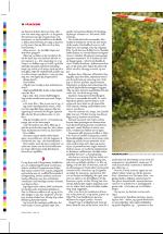 dagbladet_onsdag-20070404_000_00_00_014.pdf