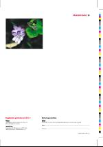 dagbladet_onsdag-20070404_000_00_00_029.pdf