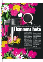 dagbladet_sondag-20060305_000_00_00_035.pdf