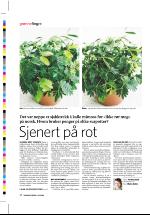 dagbladet_sondag-20060312_000_00_00_028.pdf