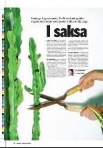 dagbladet_sondag-20060326_000_00_00_044.pdf
