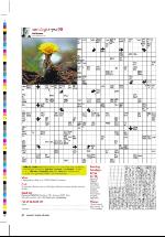 dagbladet_sondag-20060326_000_00_00_046.pdf
