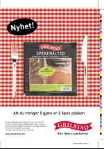 dagbladet_sondag-20060409_000_00_00_013.pdf
