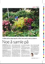 dagbladet_sondag-20060423_000_00_00_037.pdf