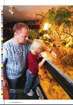 dagbladet_sondag-20060430_000_00_00_036.pdf