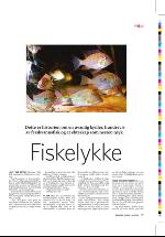 dagbladet_sondag-20060430_000_00_00_037.pdf