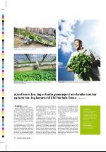 dagbladet_sondag-20060528_000_00_00_030.pdf