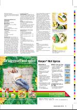 dagbladet_sondag-20060528_000_00_00_039.pdf