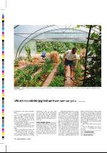 dagbladet_sondag-20060716_000_00_00_014.pdf