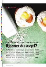 dagbladet_sondag-20060716_000_00_00_028.pdf
