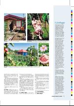 dagbladet_sondag-20060806_000_00_00_013.pdf