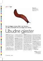 dagbladet_sondag-20060813_000_00_00_022.pdf