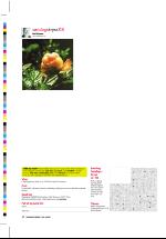 dagbladet_sondag-20060820_000_00_00_038.pdf