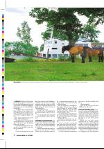 dagbladet_sondag-20060903_000_00_00_026.pdf
