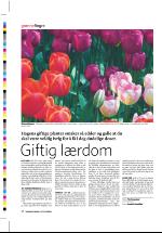 dagbladet_sondag-20060917_000_00_00_028.pdf