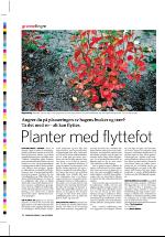 dagbladet_sondag-20060924_000_00_00_032.pdf