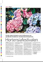 dagbladet_sondag-20061008_000_00_00_026.pdf