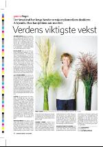 dagbladet_sondag-20061015_000_00_00_026.pdf