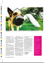 dagbladet_sondag-20061022_000_00_00_034.pdf