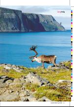 dagbladet_sondag-20061029_000_00_00_025.pdf