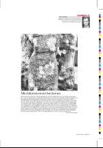 dagbladet_sondag-20061203_000_00_00_031.pdf