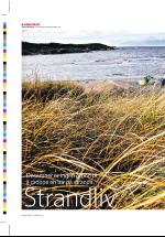 dagbladet_sondag-20061217_000_00_00_006.pdf