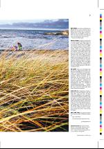 dagbladet_sondag-20061217_000_00_00_007.pdf