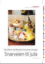 dagbladet_sondag-20061217_000_00_00_037.pdf