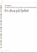 dagbladet_sondag-20070304_000_00_00_030.pdf