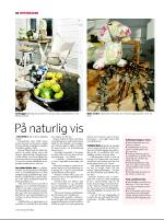 dagbladet_sondag-20070415_000_00_00_022.pdf