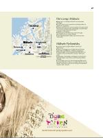 dagbladet_sondag-20070422_000_00_00_027.pdf