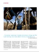 dagbladet_sondag-20070513_000_00_00_012.pdf