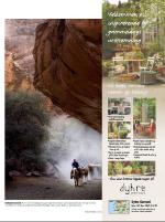 dagbladet_sondag-20070513_000_00_00_015.pdf