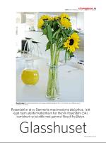 dagbladet_sondag-20070610_000_00_00_029.pdf