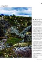 dagbladet_sondag-20070617_000_00_00_007.pdf