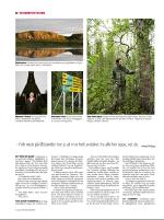 dagbladet_sondag-20070819_000_00_00_012.pdf