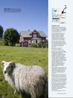 dagbladet_sondag-20070826_000_00_00_023.pdf