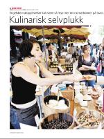 dagbladet_sondag-20070909_000_00_00_006.pdf
