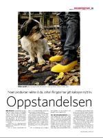 dagbladet_sondag-20071021_000_00_00_035.pdf