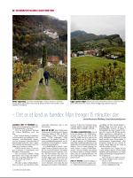 dagbladet_sondag-20071125_000_00_00_012.pdf