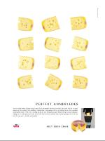 dagbladet_sondag-20071209_000_00_00_006.pdf