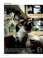 dagbladet_sondag-20080316_000_00_00_022.pdf