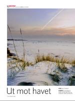 dagbladet_sondag-20080406_000_00_00_006.pdf